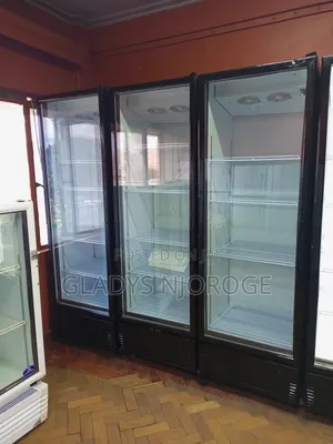 Affordable Chiller Fridge