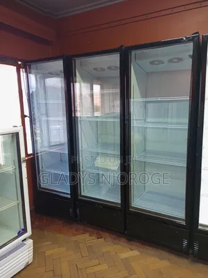 Affordable Chiller Fridge