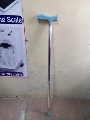 Walking Stick - main view