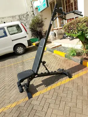 Adjustable Dumbbell Bench With Pull Up Dip Station