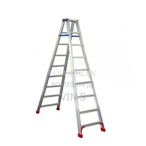 Dual Step Ladder< Düal Stėp Lädder) Duál Stěp Ladděr