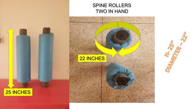 Spine Rollers (2pcs) - main view