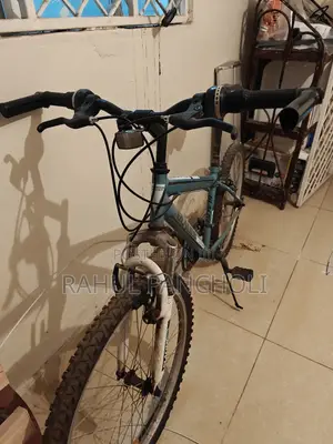 Fun Blue 15-Speed Kids’ Bicycle