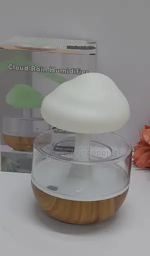 Rain Cloud Humidifier