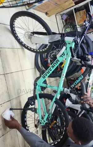 Bicycle Size 24 With Gear and Mechanical Brakes