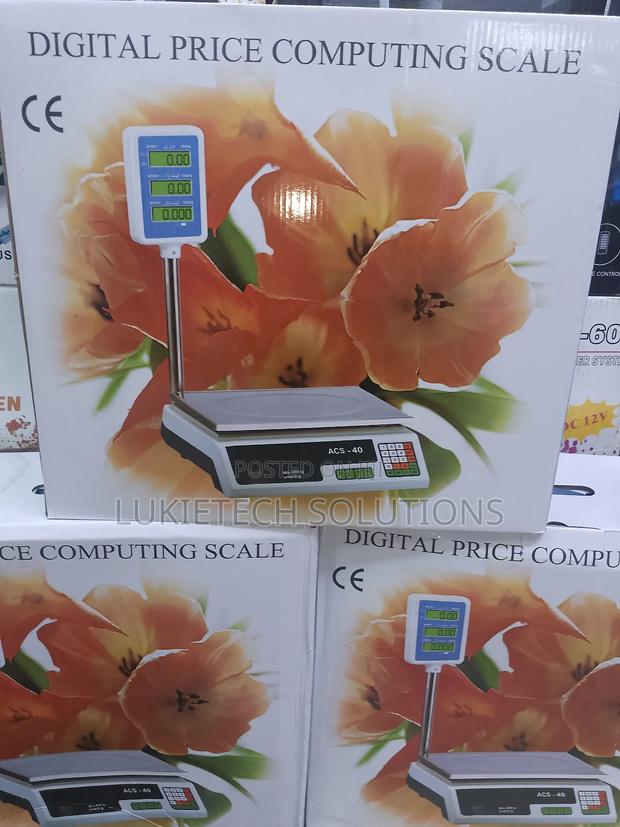 Excellent Price Computing Digital Weighing Scale 30kg - main view