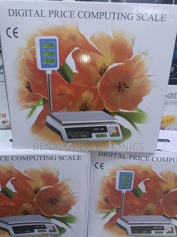 Excellent Price Computing Digital Weighing Scale 30kg