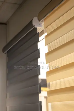 “Day to Night in One Slide!” With Zebra Window Blinds