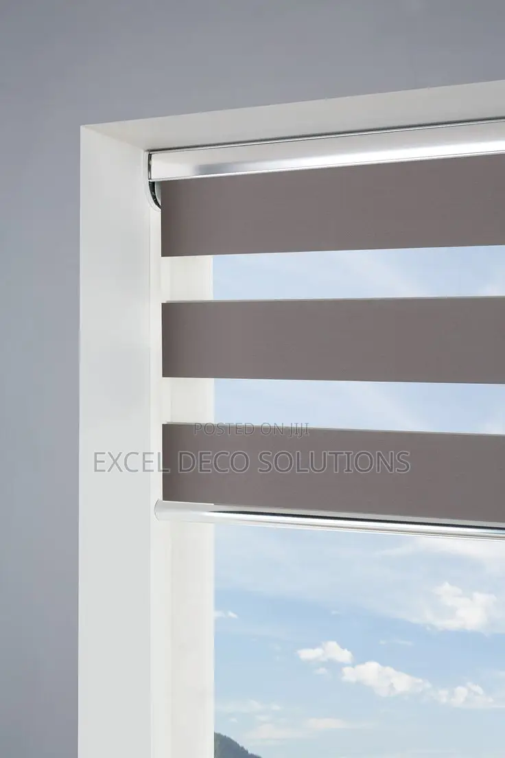 “Style in Motion!” With Horizontal Zebra Blinds