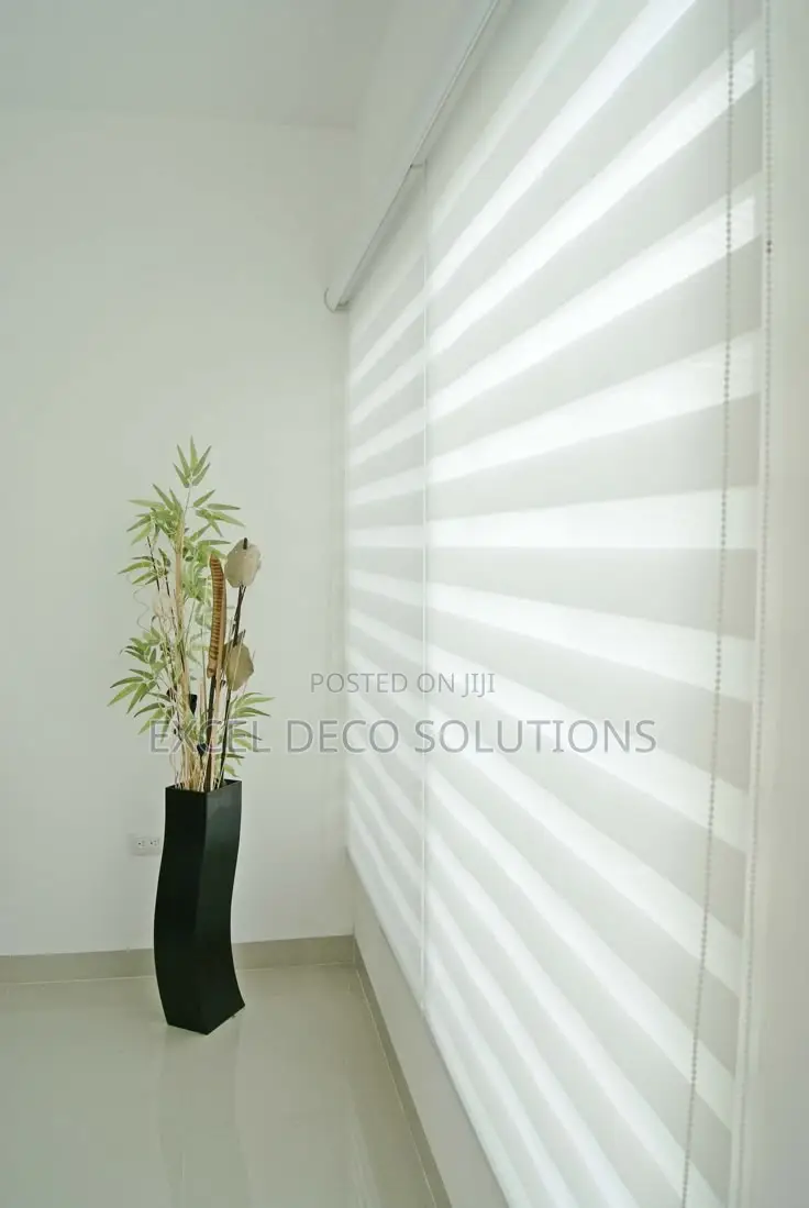 Modern Blinds for the Modern Home!” With Zebra Blinds