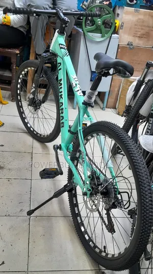 Size 24 Adult/Kid/Teenager Bike Fully Geared