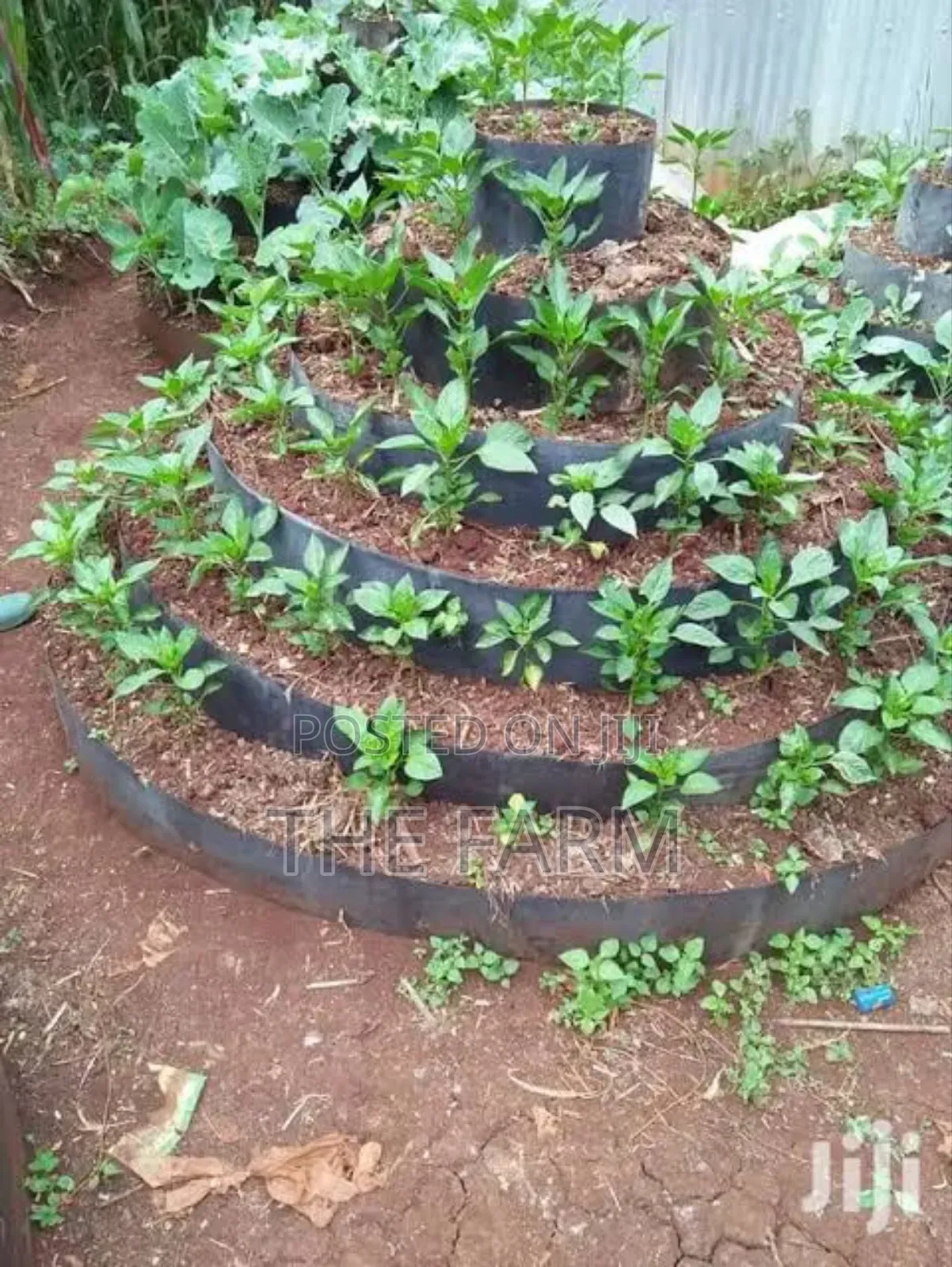 Vertical Garden