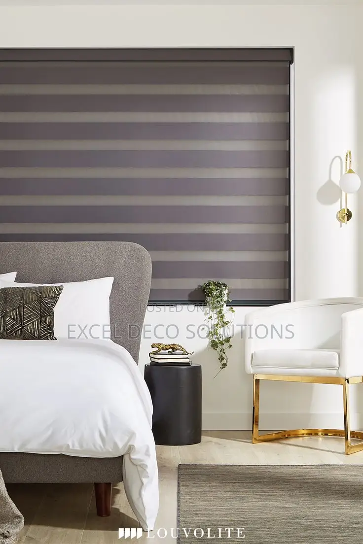“Lines That Define Luxury!”With Horizontal Zebra Blins