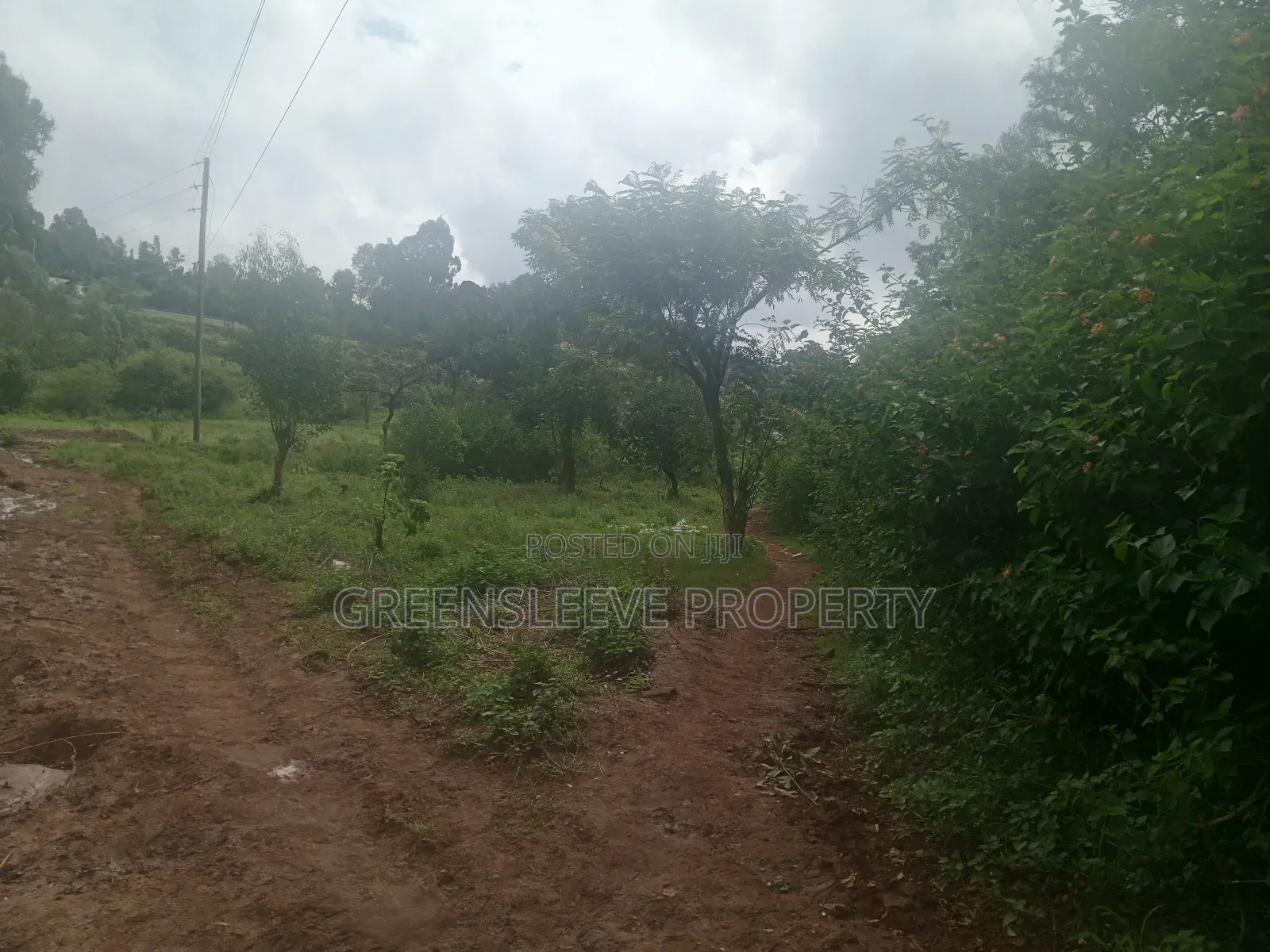 Land for Sale