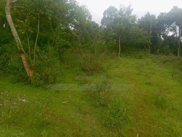 Land for Sale - thumbnail 6