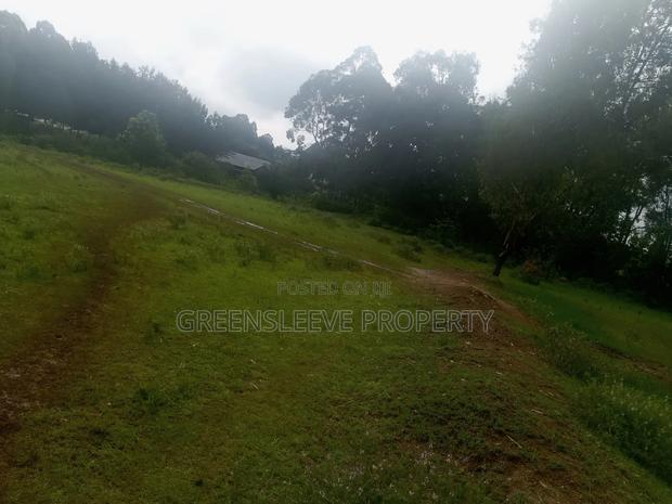Land for Sale - thumbnail 7