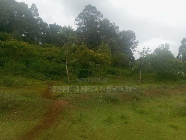 Land for Sale - thumbnail 8