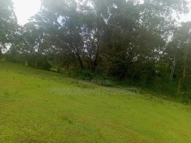 Land for Sale - thumbnail 10
