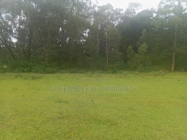 Land for Sale - thumbnail 11