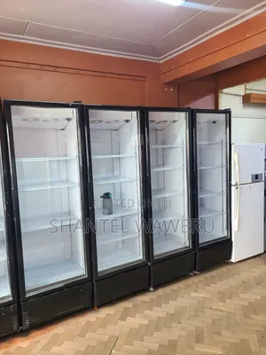 Commercial Shop Display Fridges( Chiller/Mirror Fridge)650l