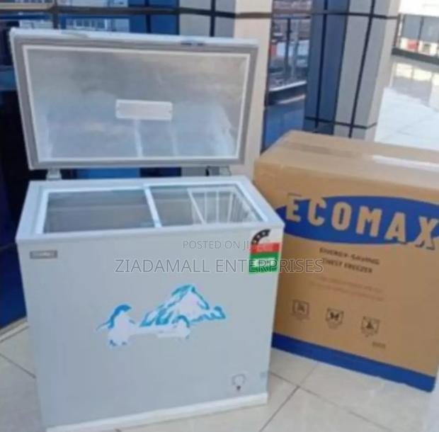 Freezer, Ecomax Bd-169 169l Chest Freezer