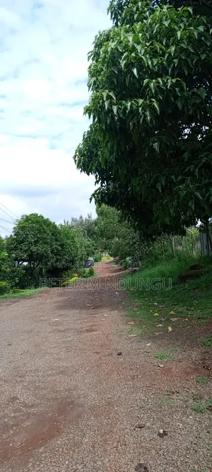 Prime Commercial Plot 1/2 Âcre, Riverside Estate Roosters