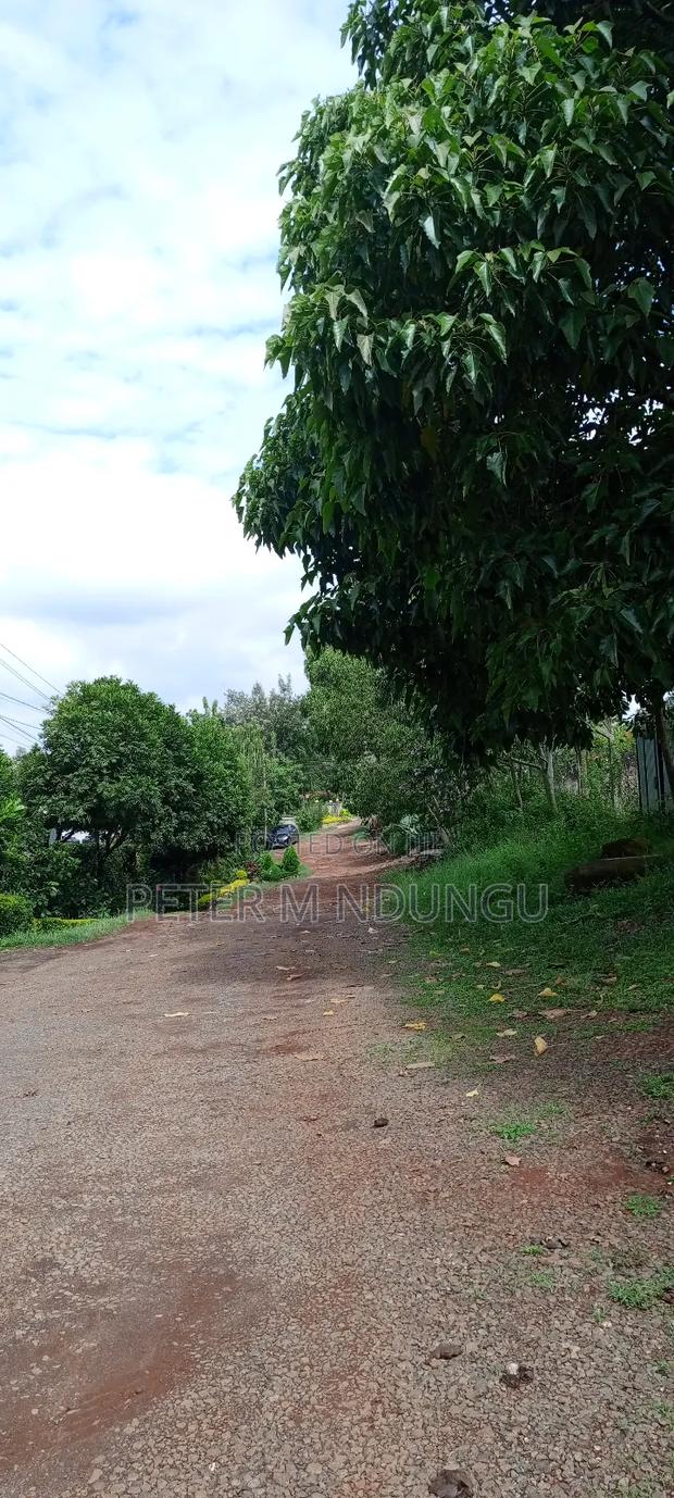 Prime Commercial Plot 1/2 Âcre, Riverside Estate Roosters - thumbnail 3