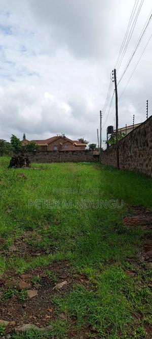 Prime Commercial Plot 1/2 Âcre, Riverside Estate Roosters - thumbnail 2