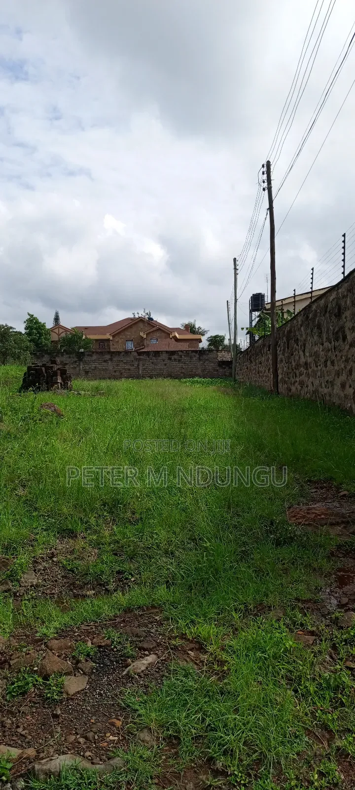Prime Commercial Plot 1/2 Âcre, Riverside Estate Roosters