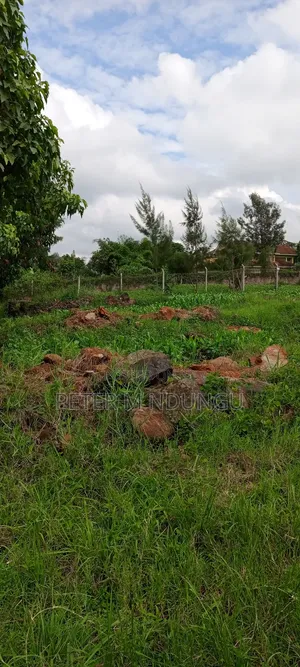 Prime Commercial Plot 1/2 Âcre, Riverside Estate Roosters