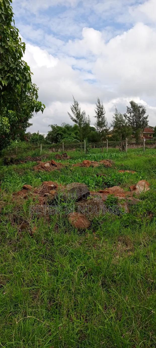 Prime Commercial Plot 1/2 Âcre, Riverside Estate Roosters - thumbnail 4