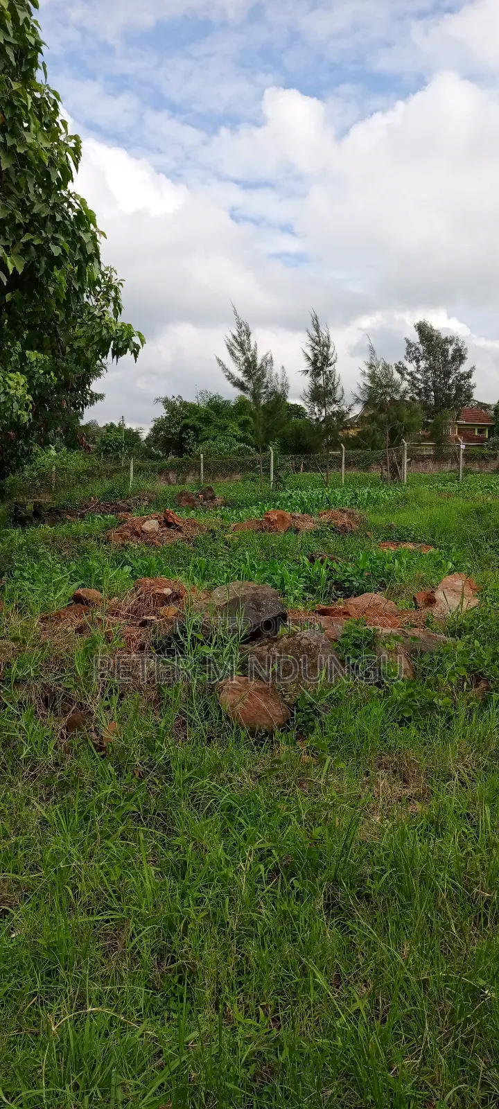 Prime Commercial Plot 1/2 Âcre, Riverside Estate Roosters