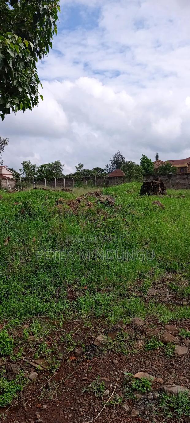 Prime Commercial Plot 1/2 Âcre, Riverside Estate Roosters - thumbnail 5