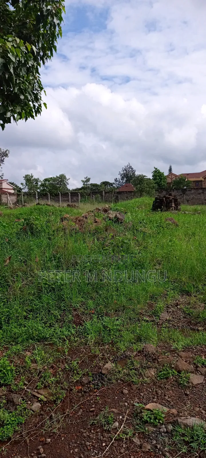 Prime Commercial Plot 1/2 Âcre, Riverside Estate Roosters