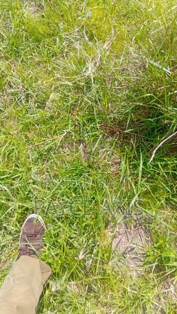 6 Acres for Sale - thumbnail 4