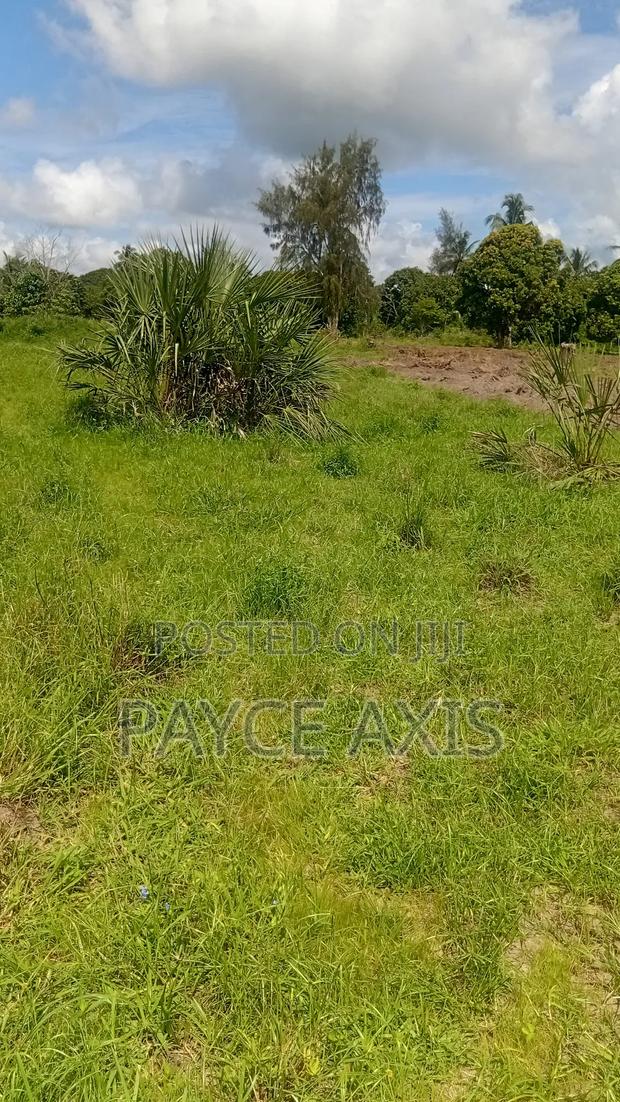 6 Acres for Sale - thumbnail 5
