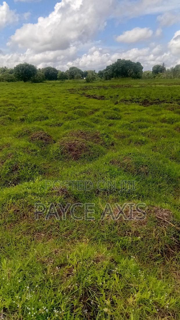 6 Acres for Sale - thumbnail 7