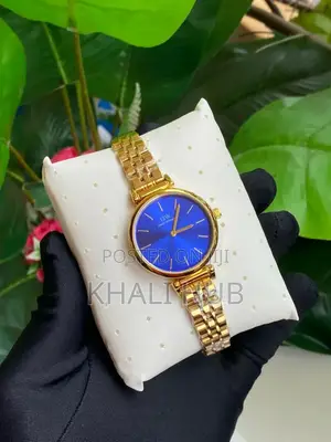 Dw Daniel Wellington Ladies Watch Dw Ladies Designer Watch