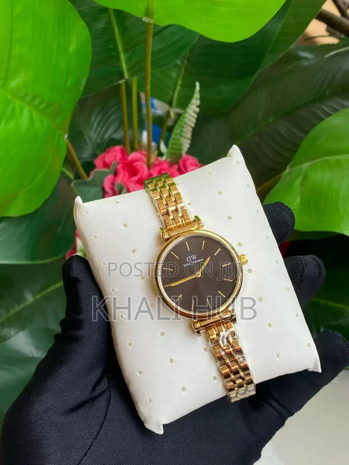 Dw Simple Ladies Watch Daniel Wellington Watch