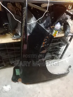 Ex Japan Harrier New Wing /Fender