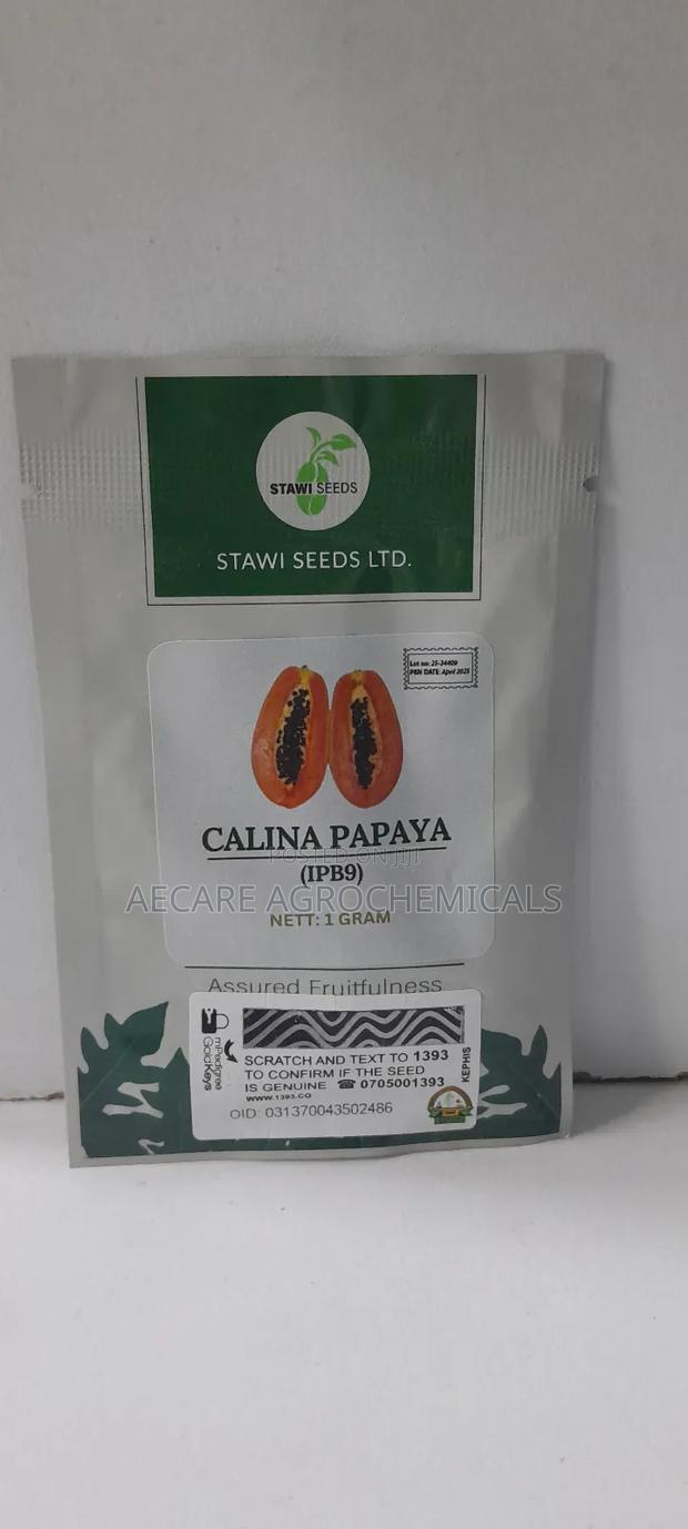 Calina Papaya ( Ipb9) 1gram Stawi Seeds Ltd - main view