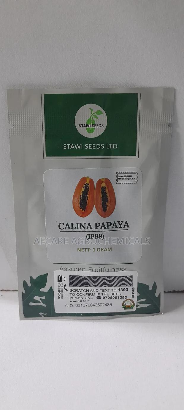 Calina Papaya ( Ipb9) 1gram Stawi Seeds Ltd - thumbnail 5