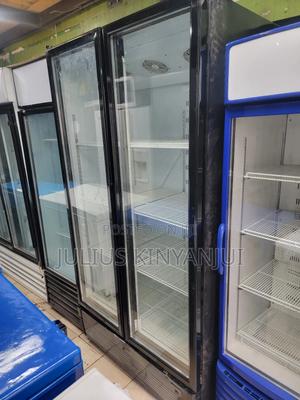 Bottom Mounted Twin Door Display Fridge - main view
