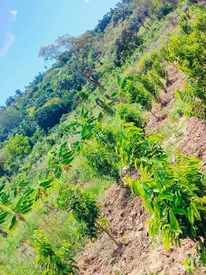 Distress Sale: Prime 12-Acre Agri- Project – Shimba Hills,