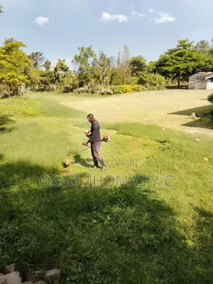 Environmental Services