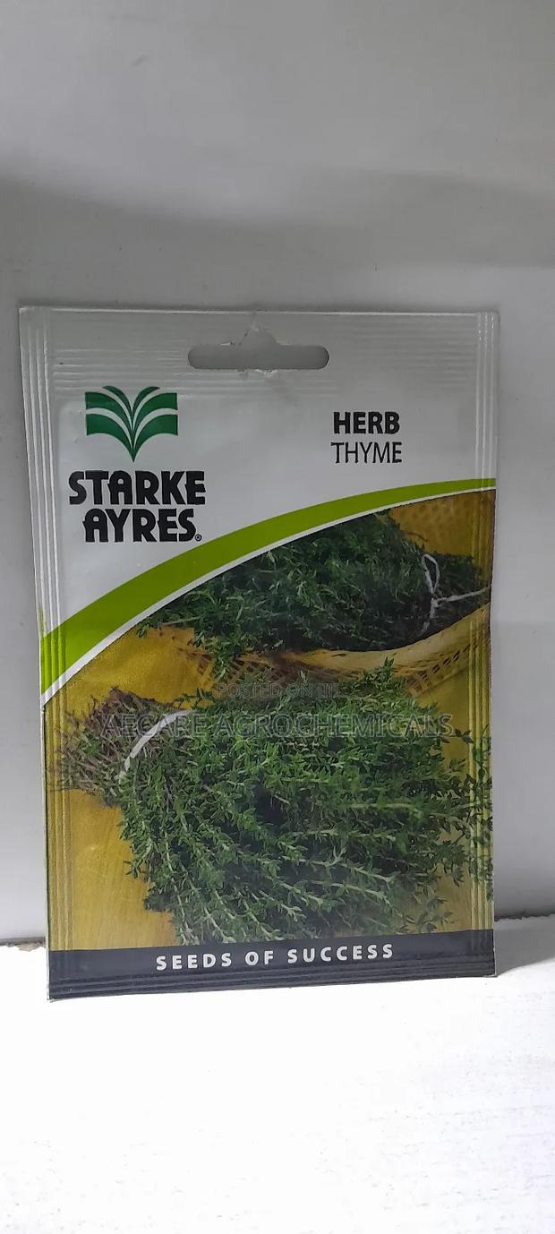 Thyme Herb Seeds 0.5grams (Stayke Ayres) - main view