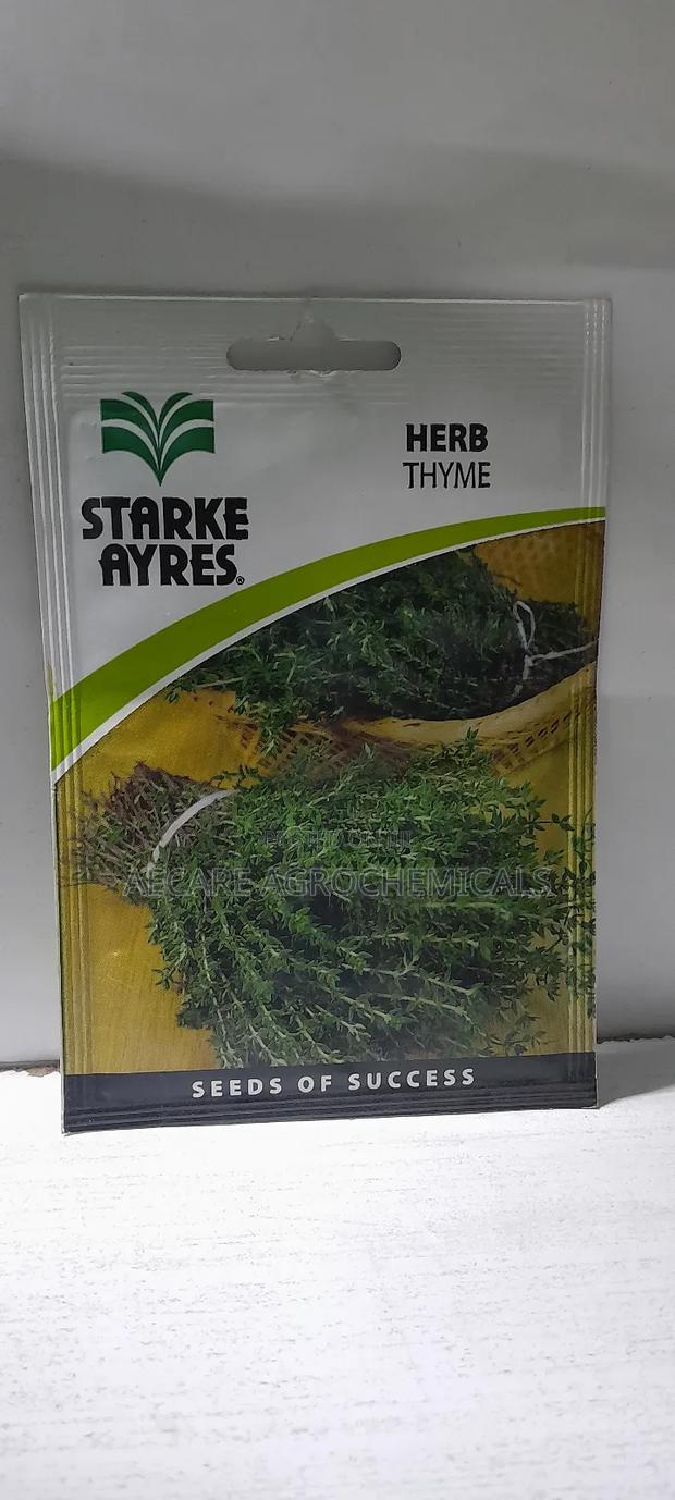 Thyme Herb Seeds 0.5grams (Stayke Ayres) - thumbnail 3