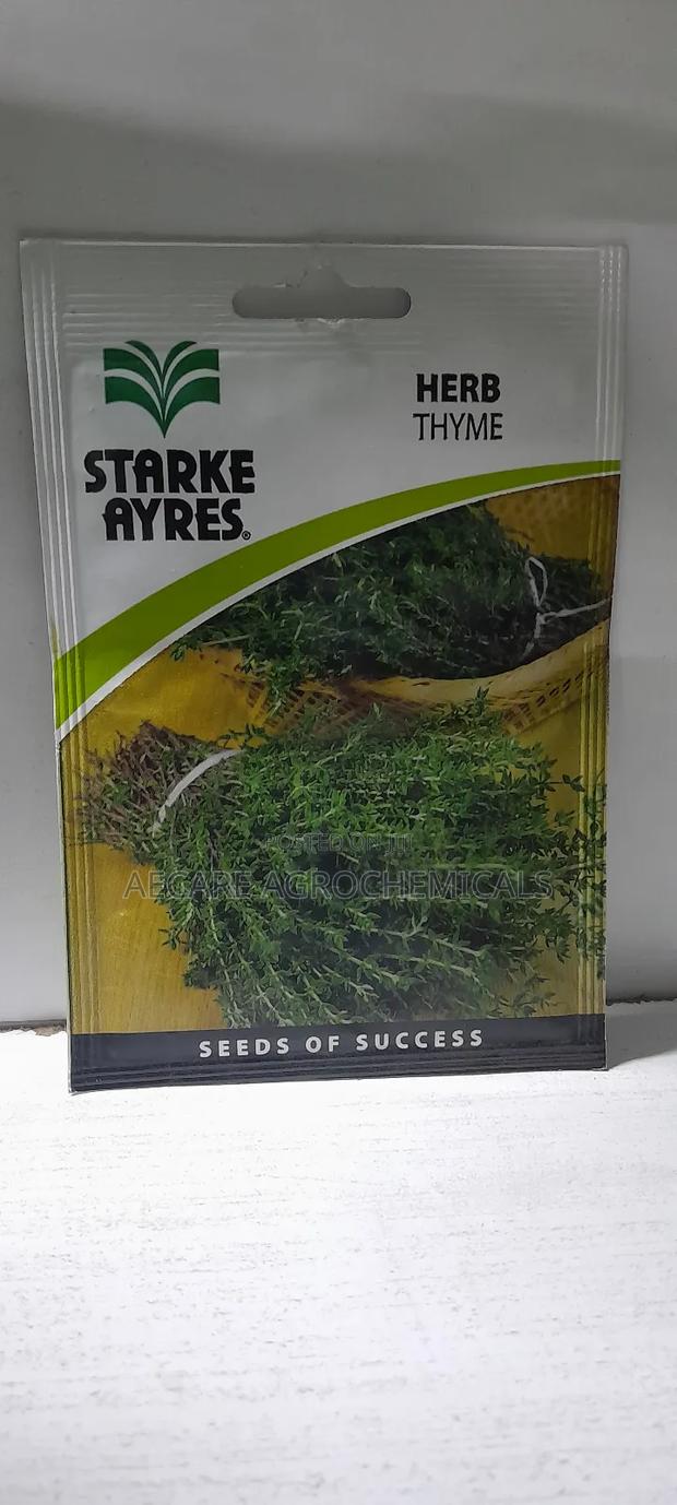 Thyme Herb Seeds 0.5grams (Stayke Ayres) - thumbnail 4