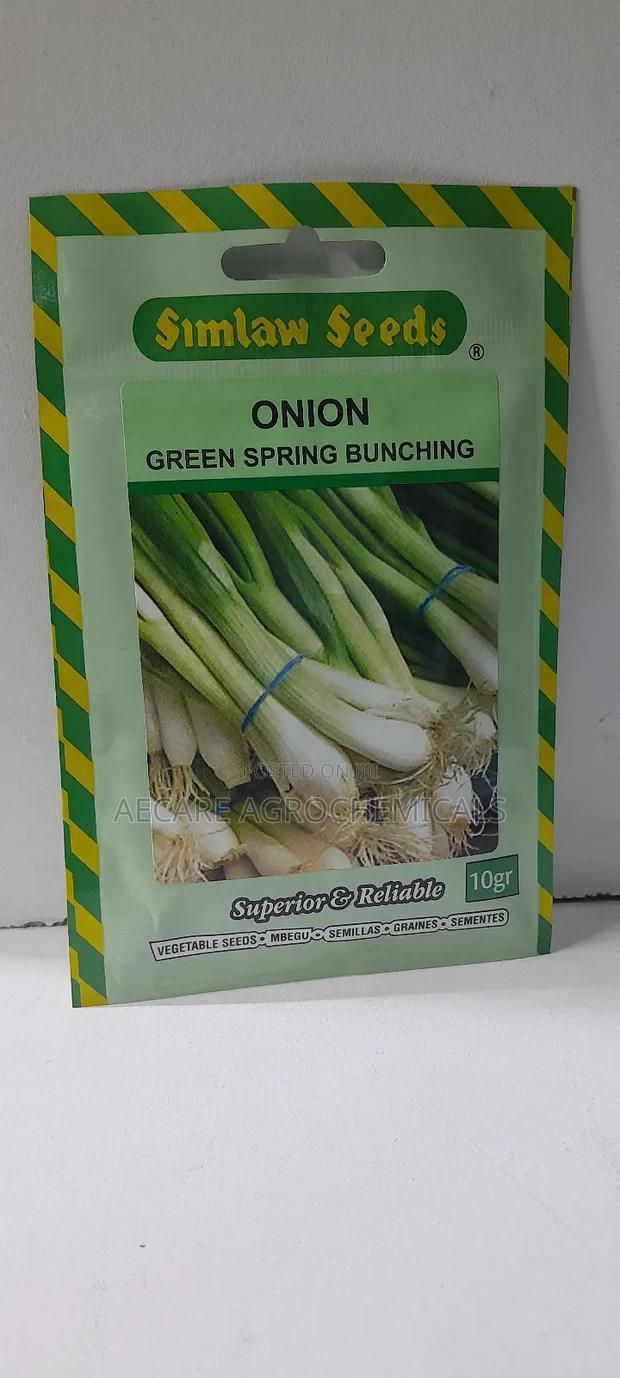 Green Spring Bunching Onion 10g, 25g Seeds - main view