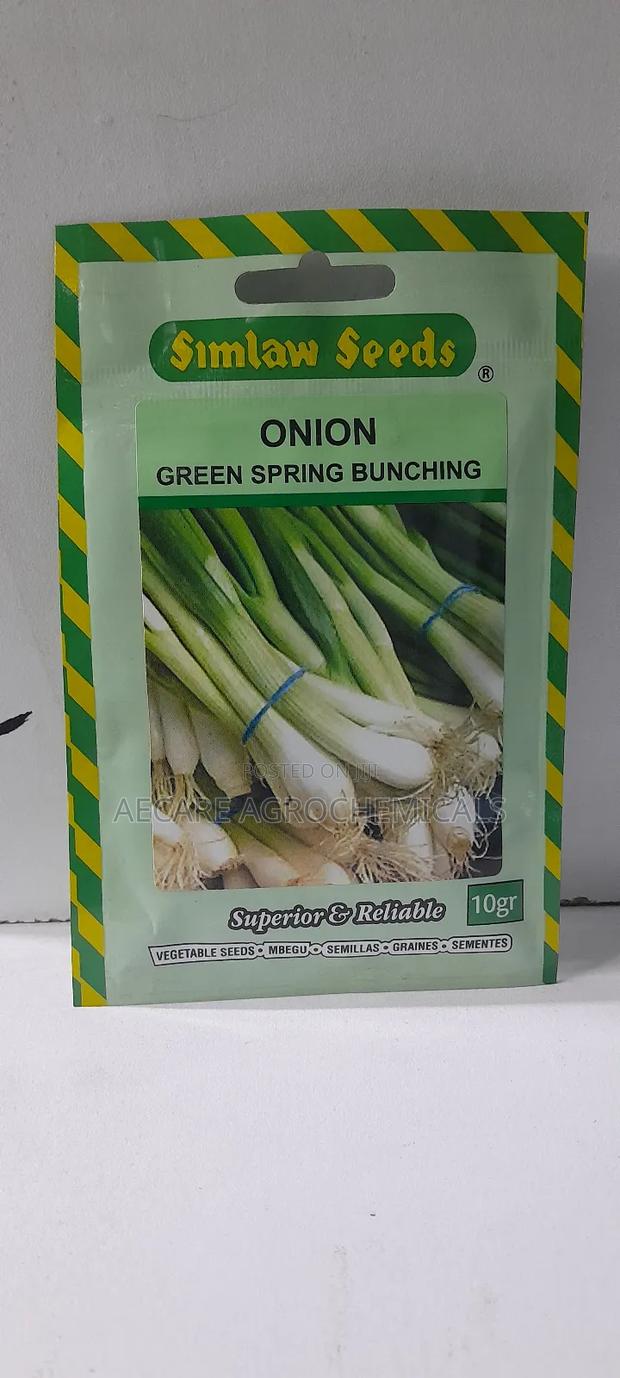 Green Spring Bunching Onion 10g, 25g Seeds - thumbnail 4